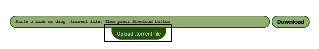download torrent with idm